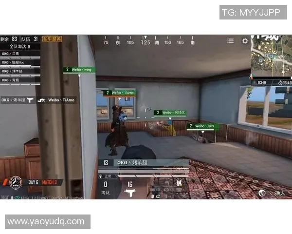 和平精英巨献：深入解析RNG战队的耐力与团队协作秘诀