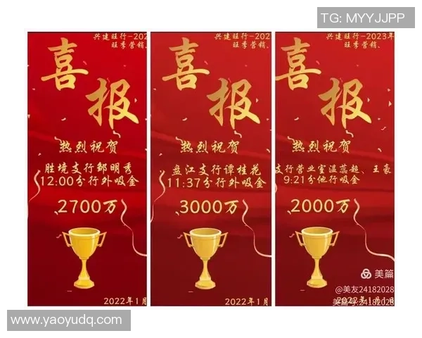 深圳排球队的辉煌征程与冠军赛背后的奋斗故事