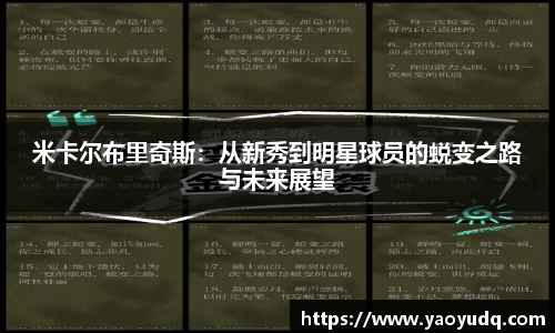 博鱼boyu官方网站